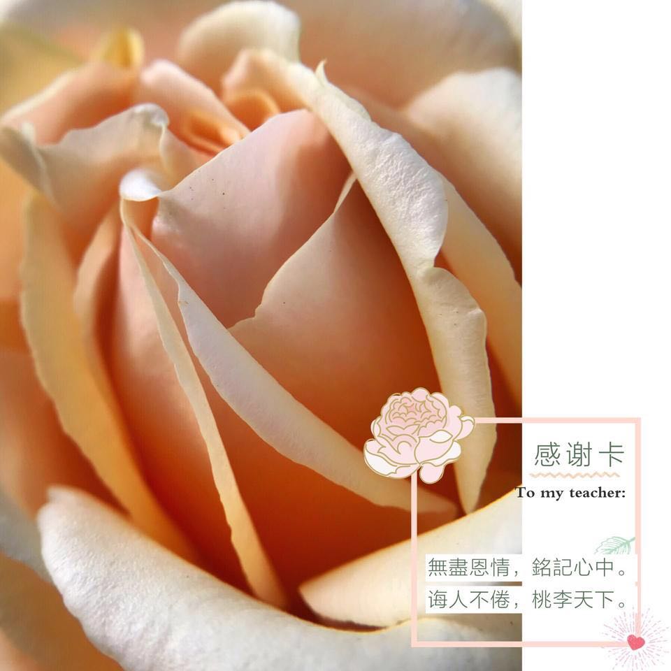 教师节制作感恩卡幼儿园,教师节感恩卡怎么制作