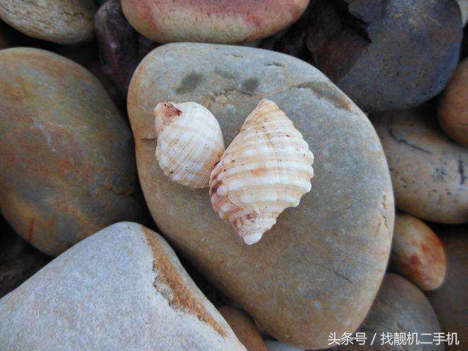 去泰国旅游不能碰什么东西,去泰国为什么不能碰有图案的叶子