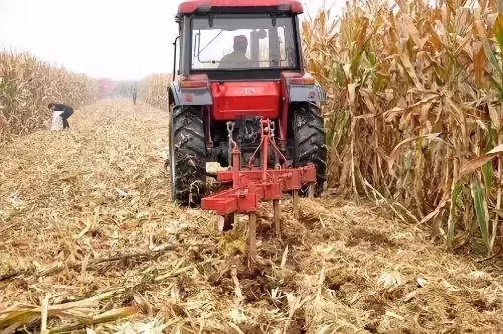 禁止燃烧秸秆田里的秸秆怎么处理,私自烧秸秆如何处罚