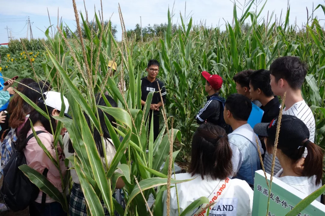 北航和农大,北航的八大学院