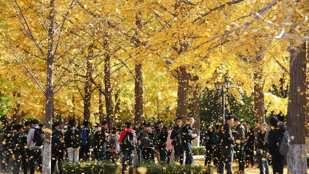 北航和农大,北航的八大学院