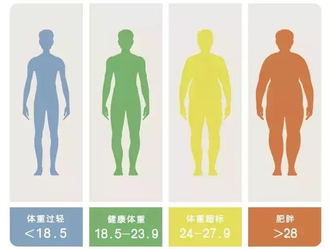 减肥方法正确避开误区,小基数减肥怎样瘦得快