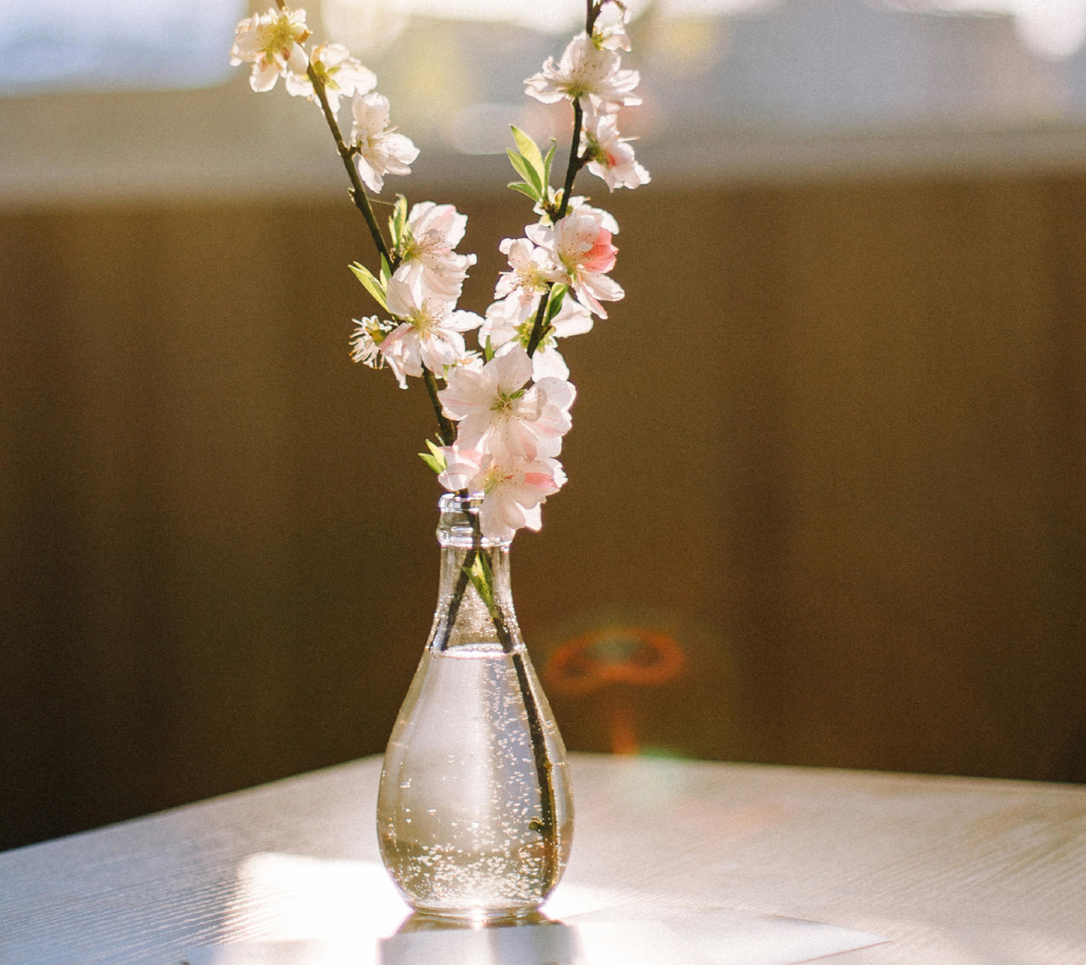 许三观卖血记对话,许三观卖血记之间的有趣对话