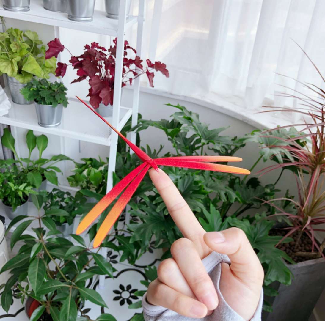 90后旅行达人,旅行达人宅家日常