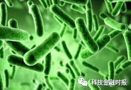 杭州强直性脊柱炎,外国治疗强直性脊柱炎