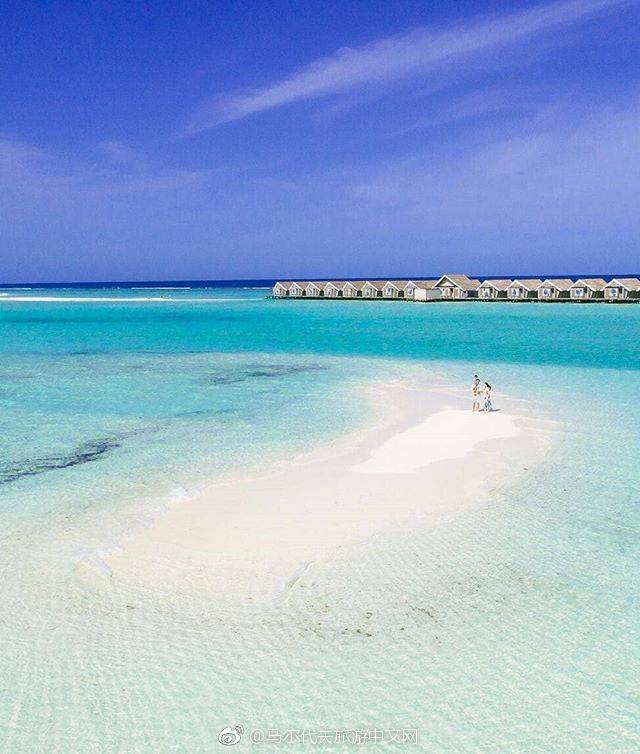 马尔代夫最强选岛攻略！摇旗呐喊一定要看！