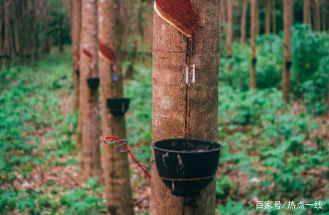 最全最详细的乳胶床垫知识介绍,乳胶床垫八大优点和缺点