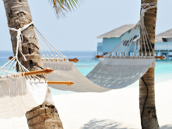 马尔代夫最强选岛攻略！摇旗呐喊一定要看！