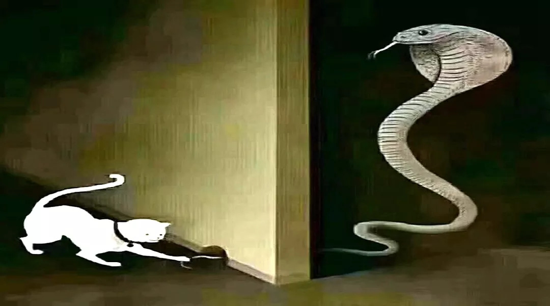 非法集资冲昏头脑,非法集资花样百出