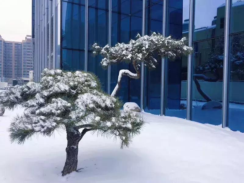 王子饭店曾经的女老板，在北郊盖了栋楼，里面放了1600件瓷器