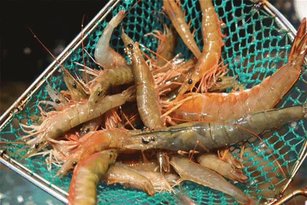 瓒呯骇宸ㄥ瀷澶у瀷榫欒櫨,宸ㄥ瀷澶у瀷榫欒櫨