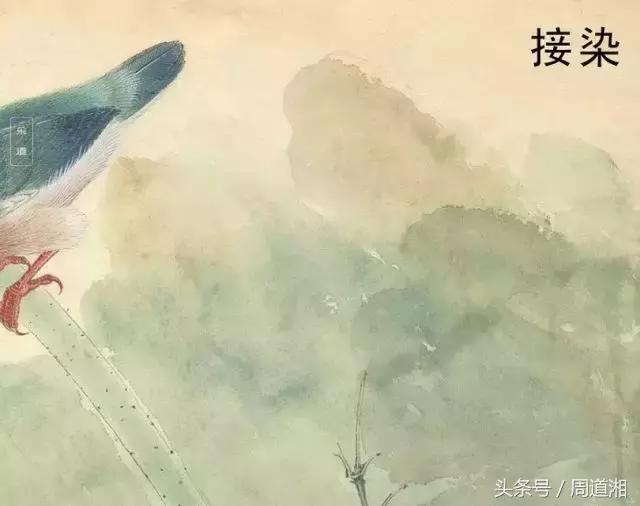 荷叶工笔画用什么方法渲染,工笔画渲染视频教程花卉