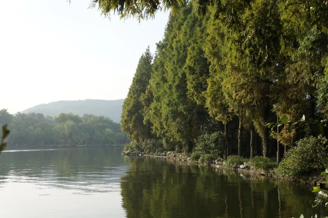 杭州西湖西子宾馆地址,杭州西子宾馆位置图