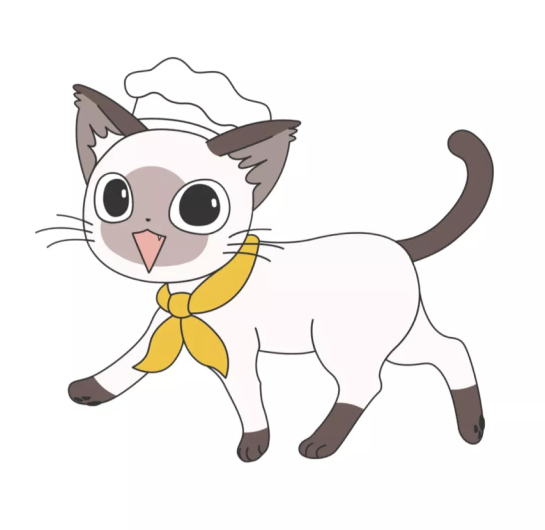 日式味噌调料,日本味噌的调料