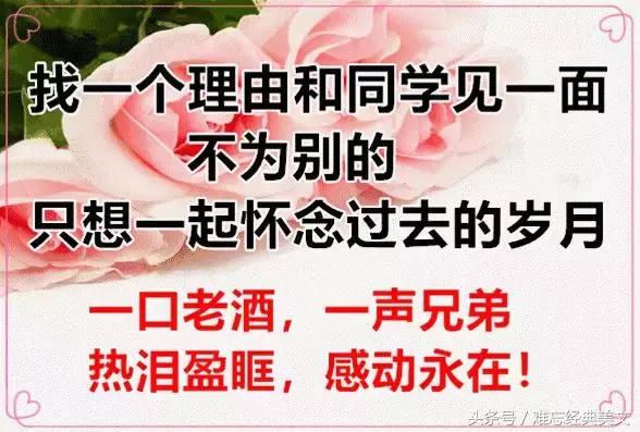 七九届同学四十年聚会通知,年底团年同学聚会简短通知