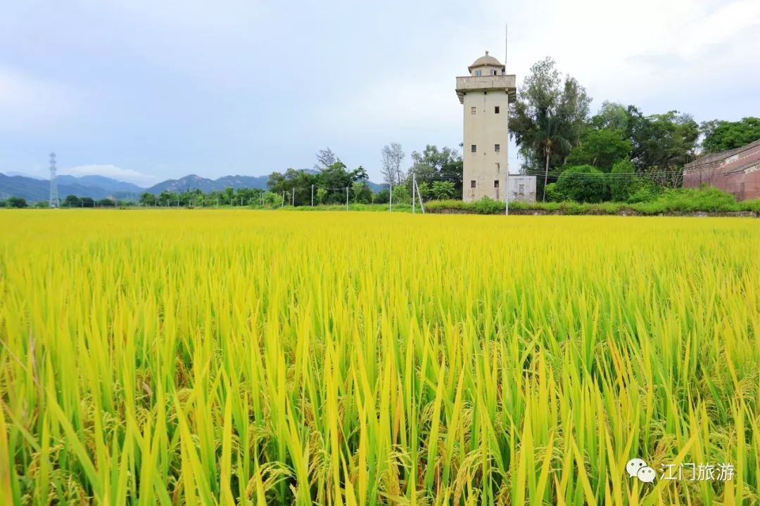 碉楼骑楼,古建筑风格欣赏开平碉楼