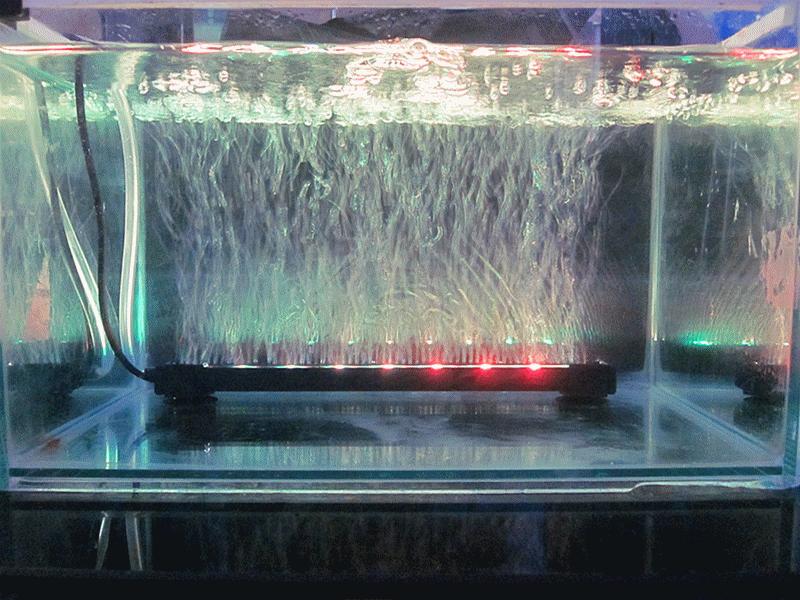 鱼缸出现油膜用什么鱼清理,鱼缸水面有油膜和气泡怎么办