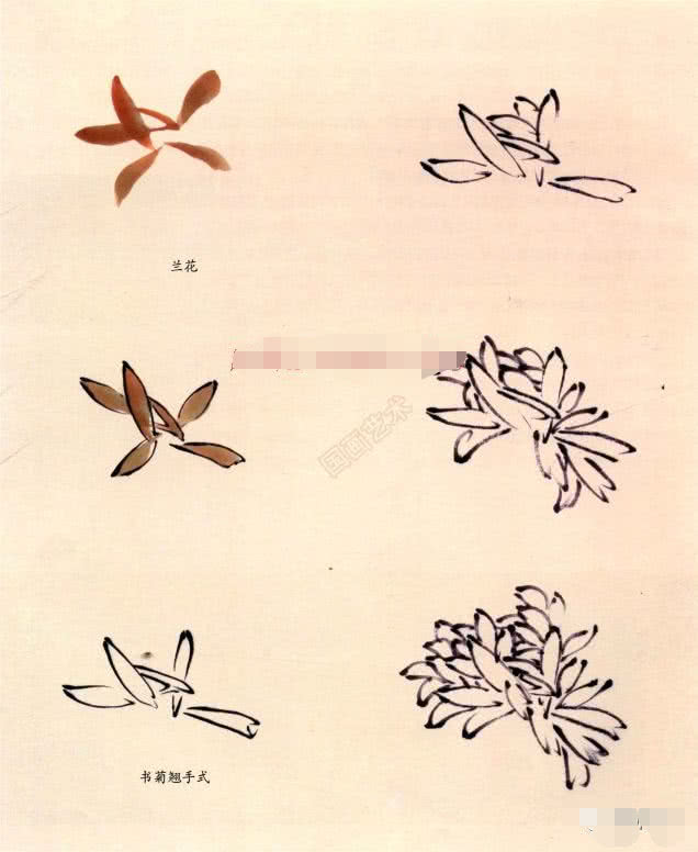 国画小写意菊花花头的画法,菊花国画写意画法视频