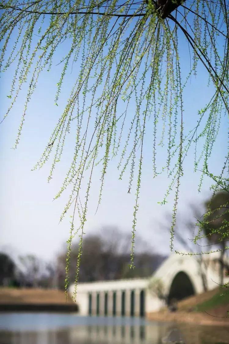 天台人的“外滩”——你看得见、摸得着的美丽！