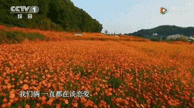 成都坐动车5小时到的城市,金堂18分钟飙拢成都中心城区