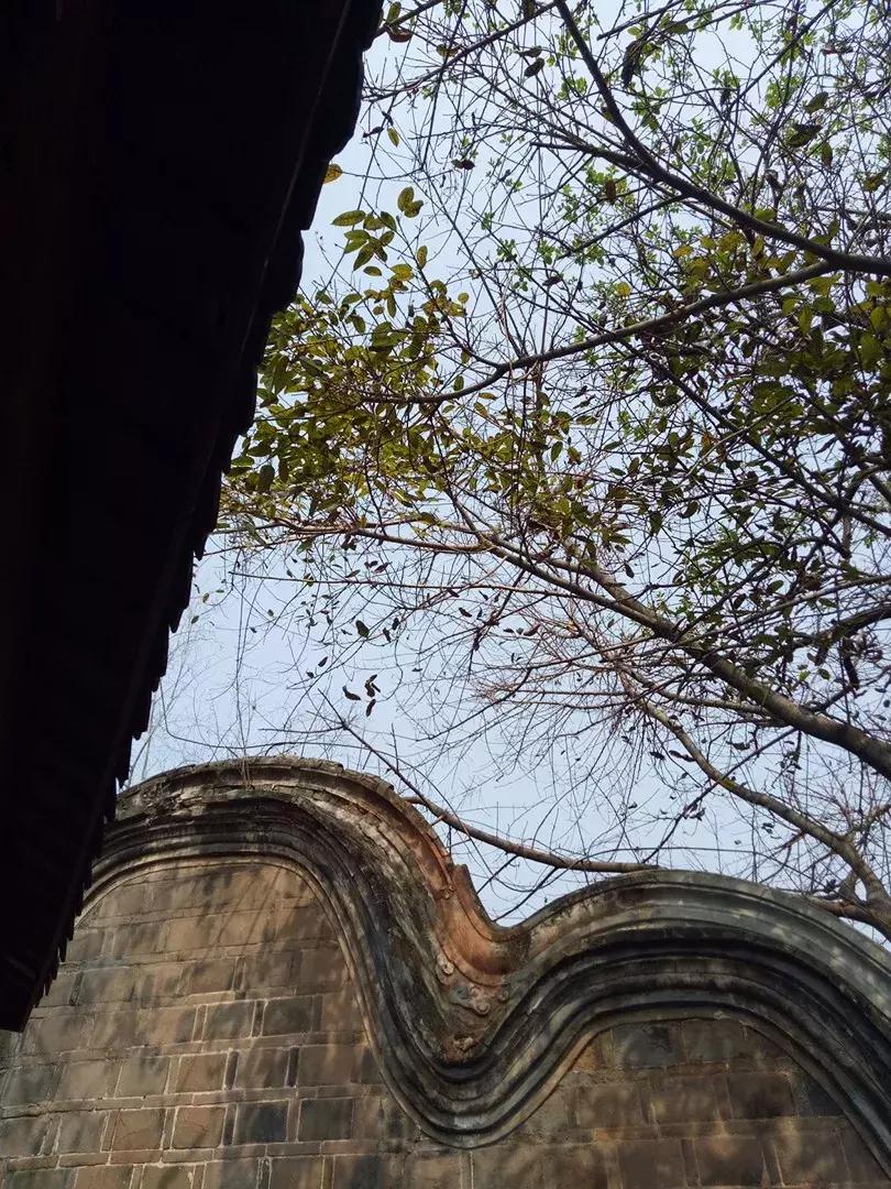 成都坐动车5小时到的城市,金堂18分钟飙拢成都中心城区