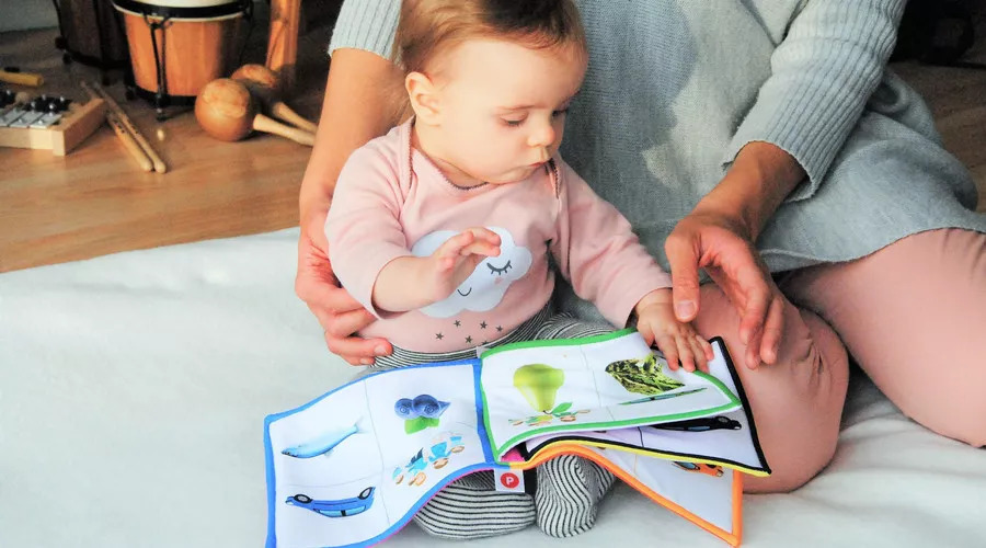 早教一定要看的几部动画,早教真的有必要报吗