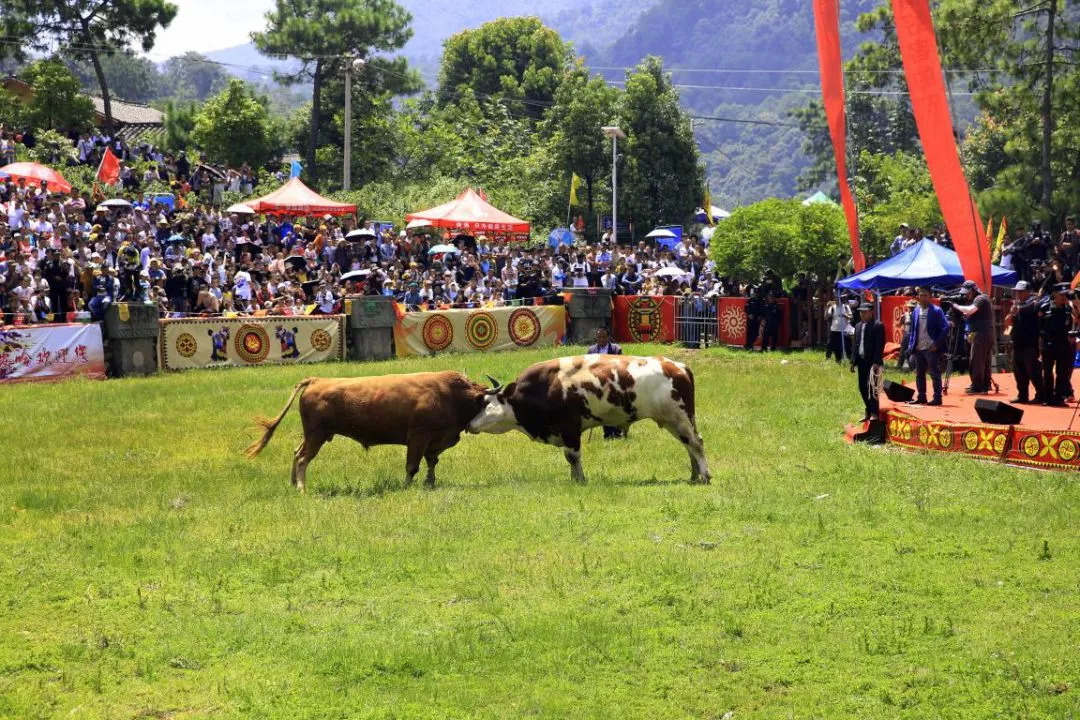 七彩西昌全部视频,西昌值得一去的美景