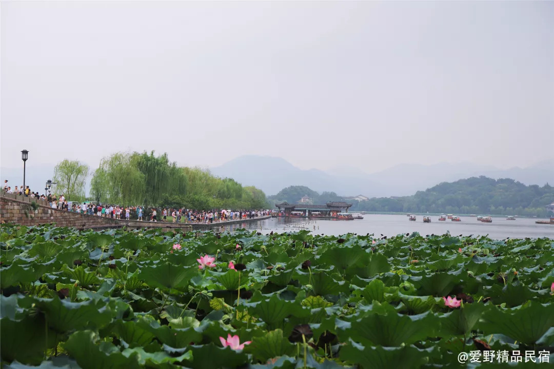 杭州3天2夜｜西子湖畔，脚步丈量这座底蕴深厚的城-爱野精品民宿