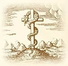 哈利波特小说的冷知识,哈利波特系列中的冷知识