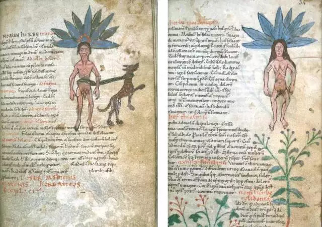 哈利波特小说的冷知识,哈利波特系列中的冷知识