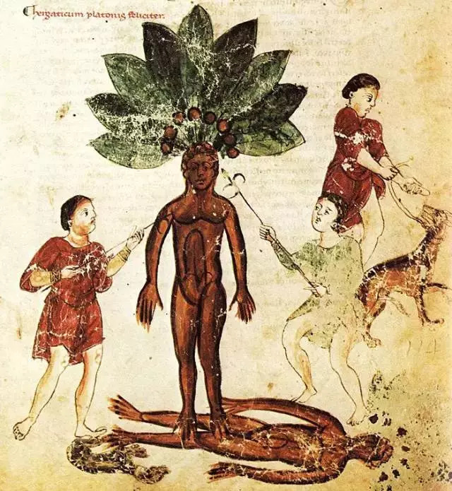 哈利波特小说的冷知识,哈利波特系列中的冷知识