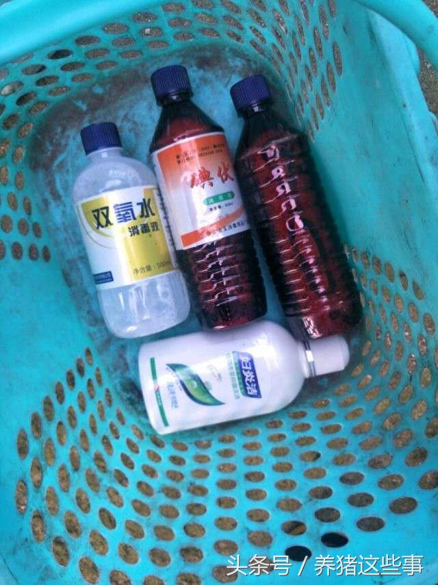 妇炎洁在水产养殖中的作用,养猪技术分享猪病防控