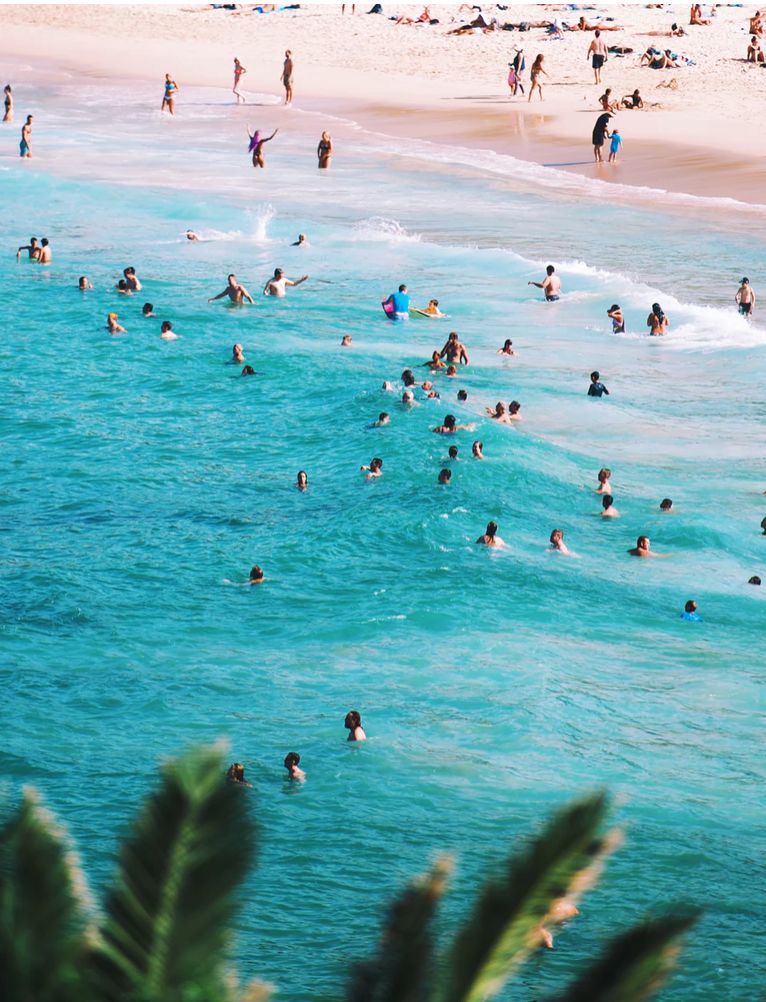 不要再被代购忽悠,澳洲代购好还是自己买好