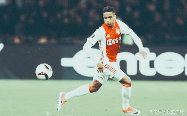 郁金香什么时候绽放,郁金香凋零