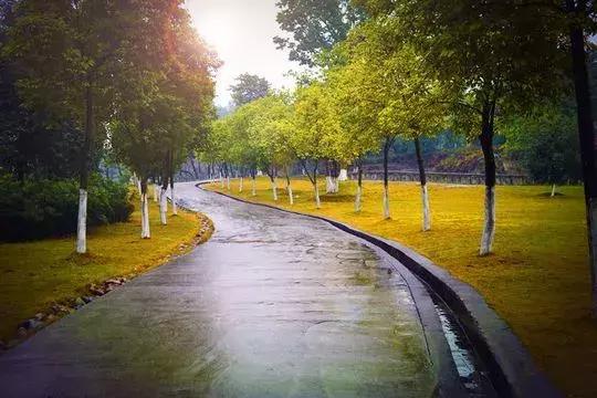 致拼搏奋斗路上莘莘学子,致莘莘学子的图片