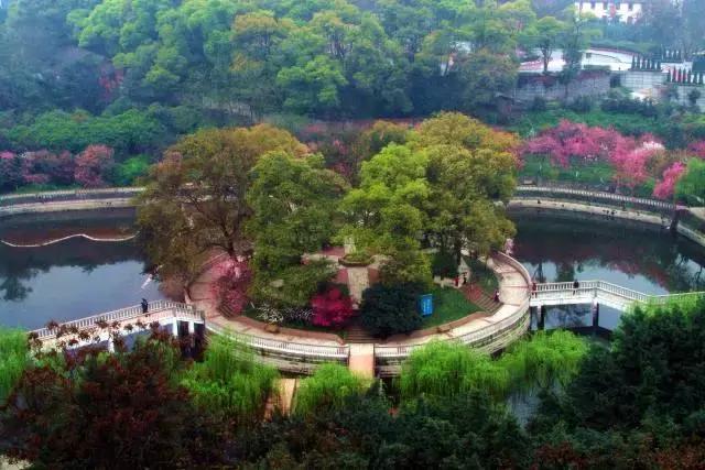 致拼搏奋斗路上莘莘学子,致莘莘学子的图片