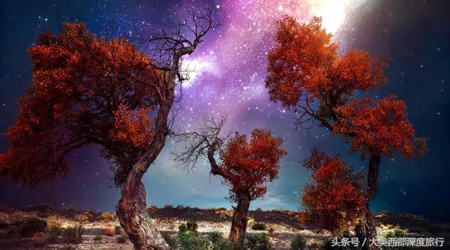 额济纳旗旅游安排时间表,额济纳旗旅行全攻略