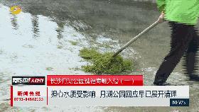 恶心虫子事件,长沙很毒的虫子