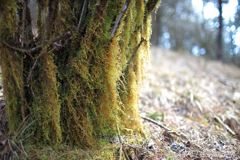 将轻量化进行到底——20L背包的千八雪地露营