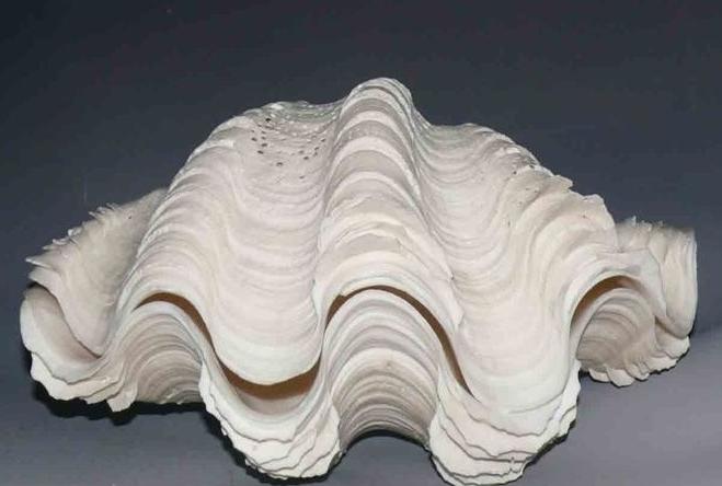 这十种文玩买了就是被坑了,十大必死无疑的文玩