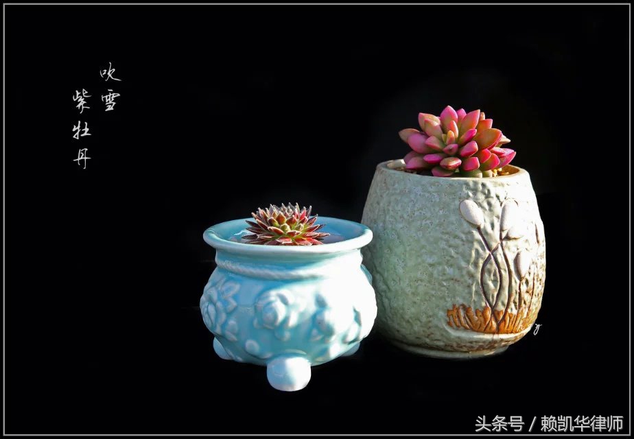 迟到被开除可以不给工资吗,天天迟到几分钟会被辞退吗