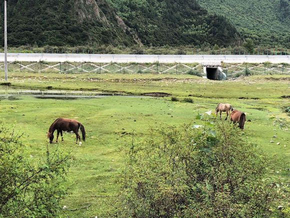 女骑士大踏板摩旅318川藏线 (318川藏线天堂之路)