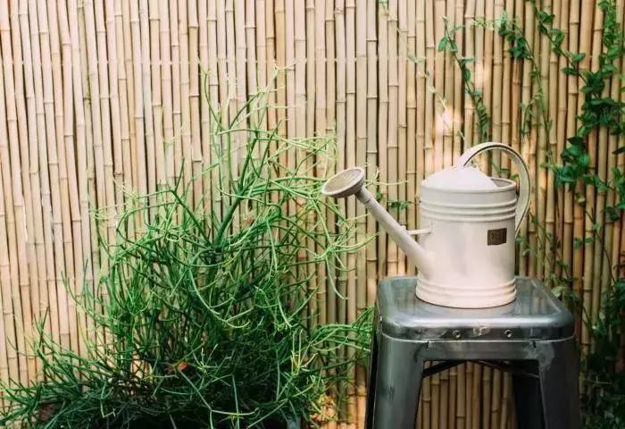 这些民宿景美价廉,这些民宿会刷新你对民宿的认知