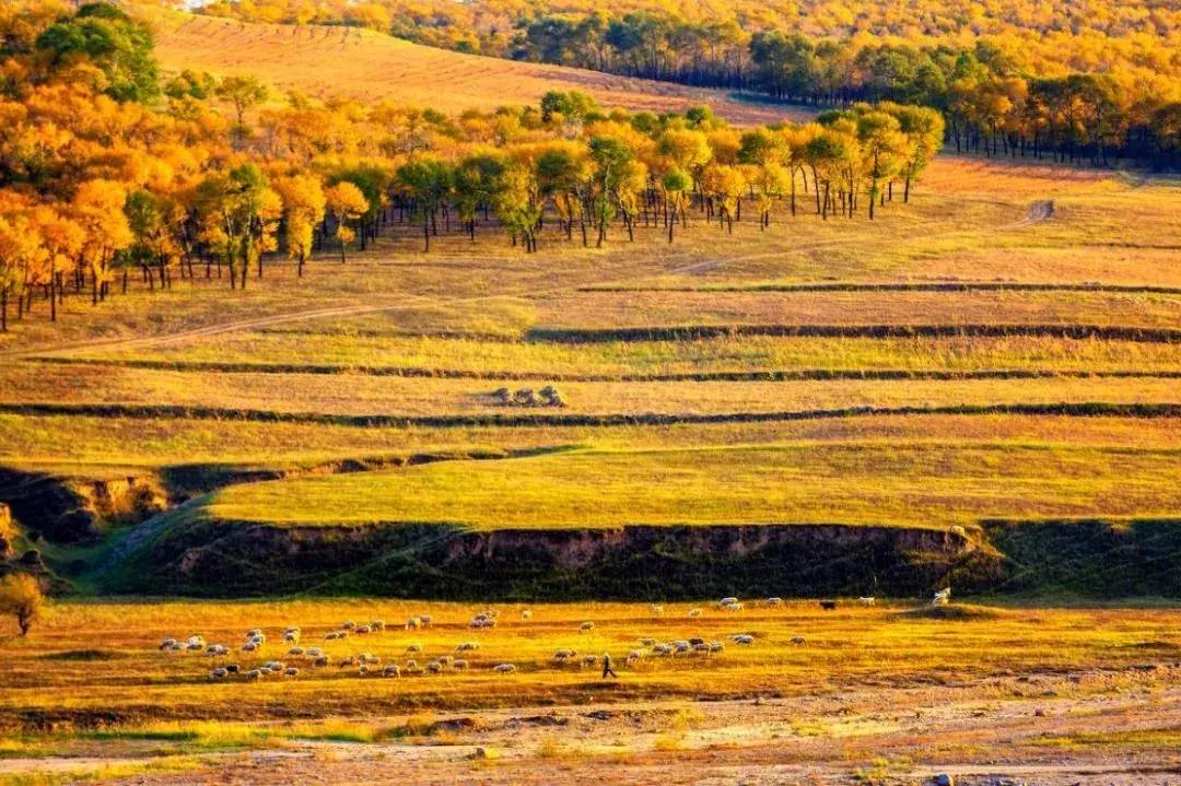 国内最美的十大海滨城市,国内最撩人的20个金秋童话