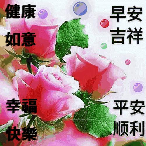 朋友愿你天天开心吉祥如意,朋友祝你年年十八你怎么回