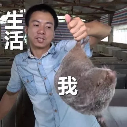 紫轩子轩梓萱打架原版,紫萱紫轩名字怎么样