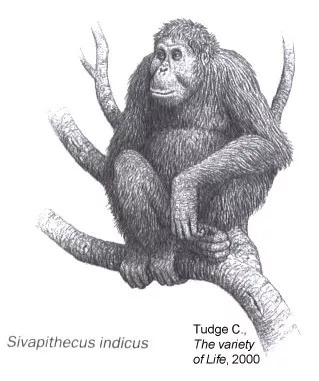 人体哪个部位让你，忍不住伸出舌头，想舔……｜从5500万年前说起