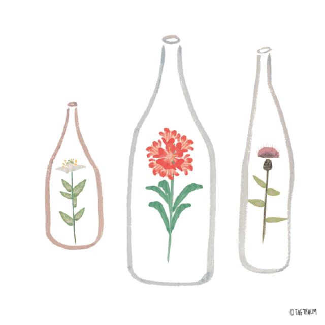 「游歌看房」国宏立泰·桂花园，这里有真实客观的评价