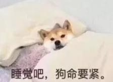 补血的保健品效果好吗,补血保健品什么牌子的好