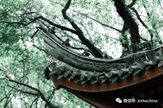 没有净土只好静心,没有净土不如静心